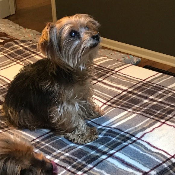 ***Meet Your Posher*** - Picture 4 of 6